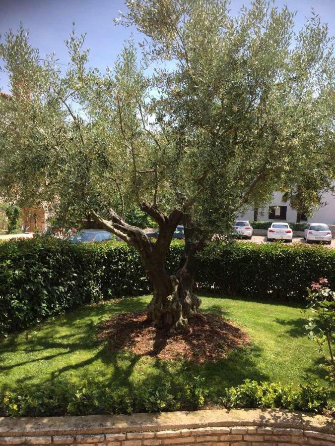 Apartman Alberta Poreč Buitenkant foto