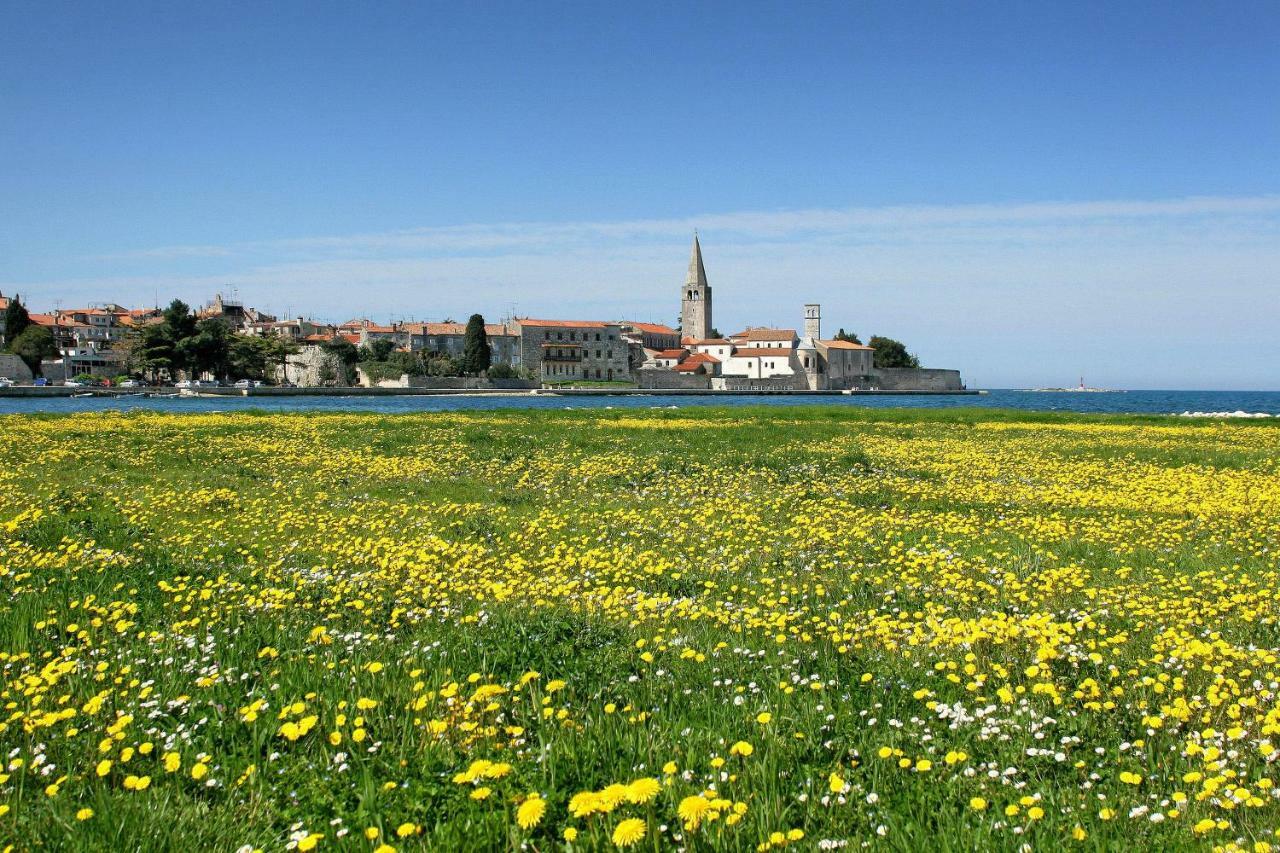 Apartman Alberta Poreč Buitenkant foto